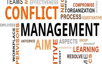 CONFLICT MANAGEMENT IN A PROFESSIONAL ENVIRONMENT